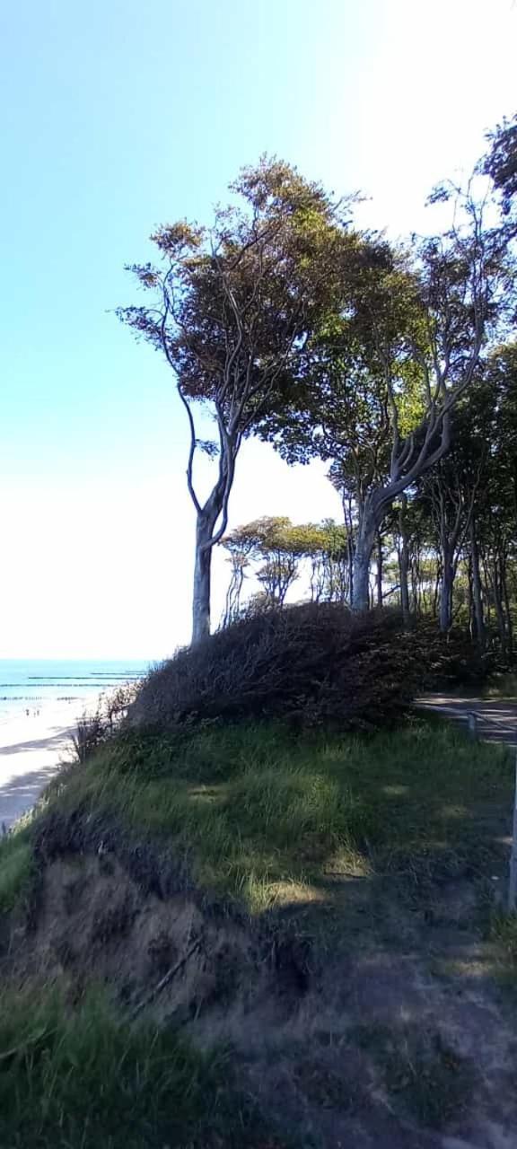 Familienurlaub Mit Hund An Der Ostsee Admannshagen-Bargeshagen Esterno foto