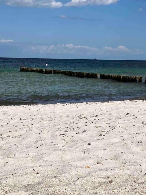 Familienurlaub Mit Hund An Der Ostsee Admannshagen-Bargeshagen Esterno foto